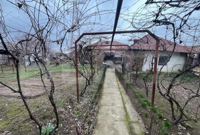 Casă cu 2 camere cu Teren 1442 Mp în Calea București - 2