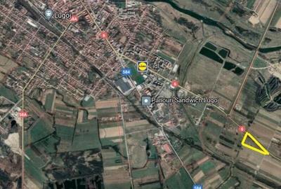 Teren Construcții intravilan de 11663 mp, în Lugojului