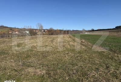 Spațiu comercial, în Badon - 5