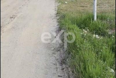 Spațiu comercial, în Ciupercenii Noi - 3
