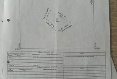 Teren de 20000 mp, în Topolog - 2
