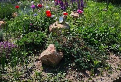 Comision 0% Casa Individuala Buftea P+M Palatul Stirbey Calul Balan Teren 1000mp - 43