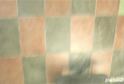 Casă cu 6 camere cu Teren 639 Mp în Cornetu - 4