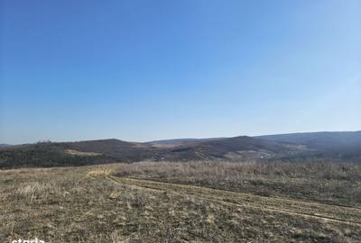 Teren de 510 mp, în Tomești - 5