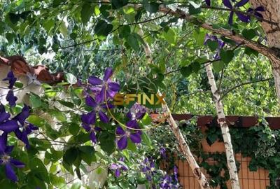 Casă individuală cu 5 camere cu Canalizare în Giulești - 30