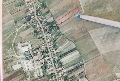 Teren de 6343 mp, în Bradu - 3