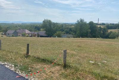 Casă cu 6 camere în Șinteu - 5