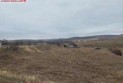 Teren de 6300 mp, în Babadag