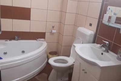 Zona Dumbravei, casa 10ari teren - 18