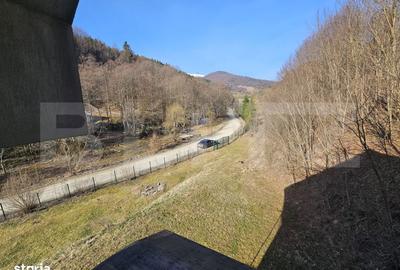 Casă cu 4 camere în Bichigiu - 11