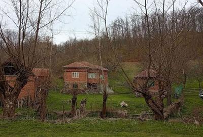 Casă cu 4 camere în Densuș - 10