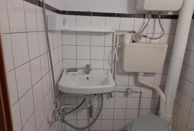 Garsoniera Parter zona Buziasului - 3