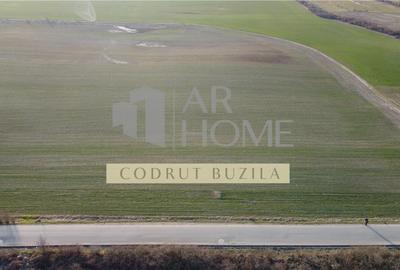 Teren Construcții intravilan de 2500 mp, în Chițorani - 2