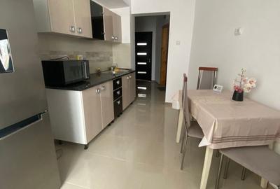 Apartament cu 2 camere decomandat în Porolissum - 5