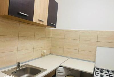 Garsonieră semidecomandată în Craiovița Nouă - 3