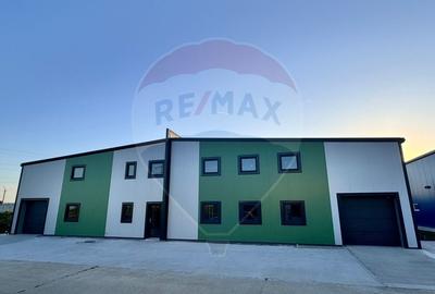 Spațiu industrial, de 500 mp, în Cernica - 1