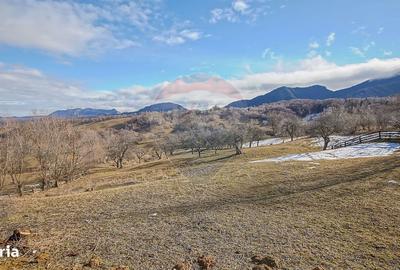 Spațiu comercial, în Sohodol - 5