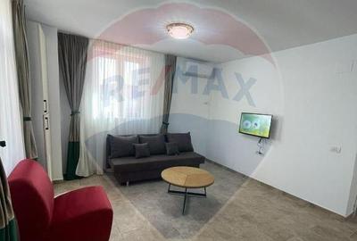 Apartament cu 2 camere de inchiriat in zona Plevnei - 4
