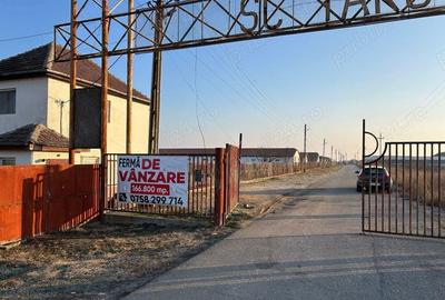 Vand teren intravilan,zona industriala,st.16,8 ha. + 8 ha.agricol,in Sanicolau Mare, la DN6,la sosea - 1