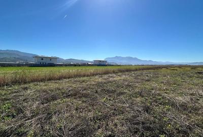 Teren Intravilan Cristian Teren Intravilan Cristian - 3