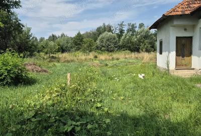 Casă în Aninoasa - 3