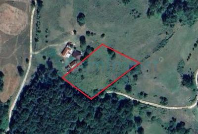 Teren agricol extravilan de 6400 mp, în Zece Hotare - 1