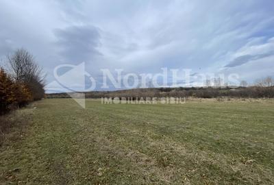 Teren agricol intravilan de 4400 mp, în Arhitecților - Calea Cisnădiei - 3