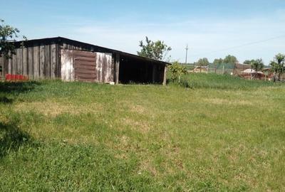 Casă cu 3 camere în Satu Mare - 1