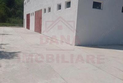 Spațiu comercial, de 150 mp, în Băuțar - 5