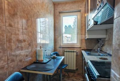 Apartament 2 camere Predeal, decomandat etaj 1 mobilat langa - 12