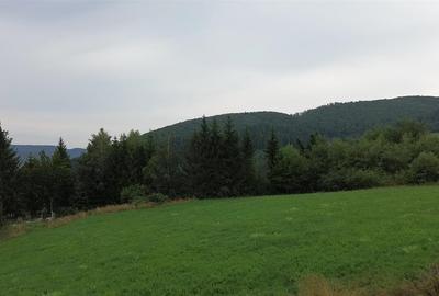 Teren 5023 mp  In Bucovina Zona Manastirea Voronet De Vanzare 0727817187 - 12
