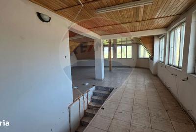 Spațiu comercial, de 400 mp, în Dupuș - 18