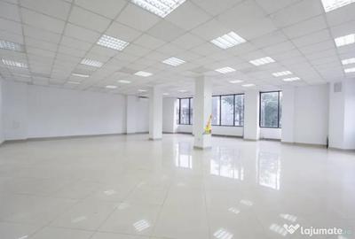 Spațiu comercial, de 250 mp, în Ferdinand - 3