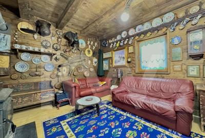 Cabana rustica de vis pe Valea Avrigului – un colt de rai in mijlocul naturii - 16