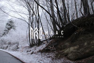 Teren Construcții intravilan de 20000 mp, în Dângești - 20