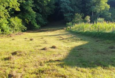 Teren de 7000 mp, în Ștubeie Tisa - 18