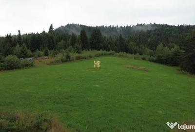 Teren de 5023 mp, în Voroneț - 5