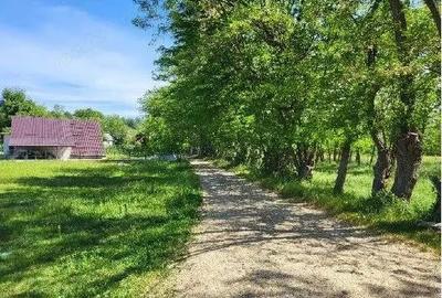 Teren extravilan arabil Tisau, ID: R2590475 - 3