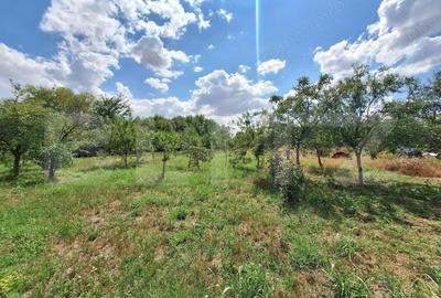 Casa cu teren intravilan, 4600 mp, investiitii/dezvoltare! - 4