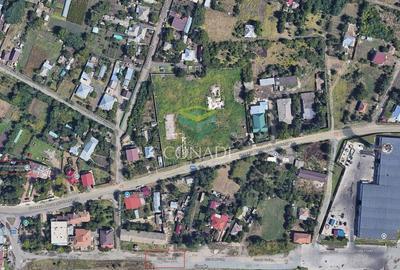 Teren 10000mp Intravilan Dor Marunt deschidere 100m - 3