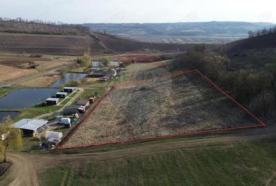 Teren de 7000 mp, în Hoghilag - 7