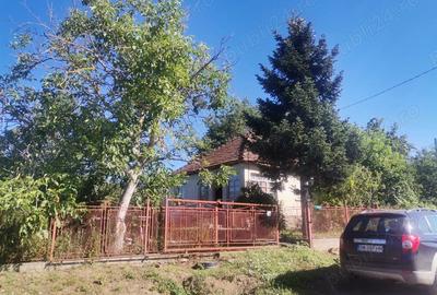 Casa de vanzare Viile Satu Mare Casa de vanzare Viile Satu Mare - 3