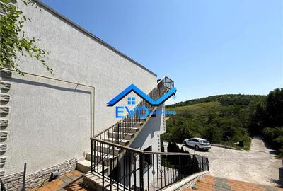 Apartament cu 2 camere, mobilat, utilat, gradina, 0 comision - 4