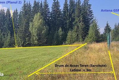 Teren de 6450 mp, în Neagra - 13