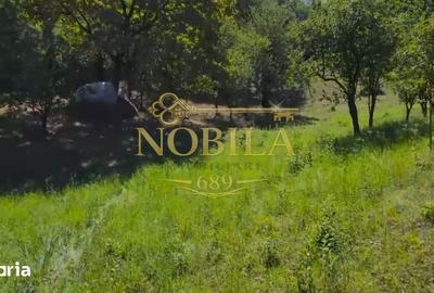Teren de 10537 mp, în Bogdănești - 10
