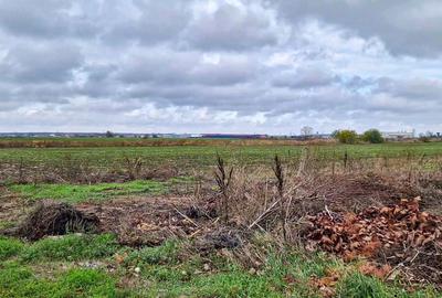 Teren intravilan, 1320 mp, la asfalt, in Balotesti - 7