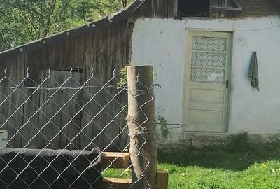 Teren de 1500 mp, în Provița de Sus
