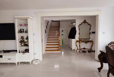 Vanzare proprietate - casa si terenValea Voievozilor Dambovita - 21
