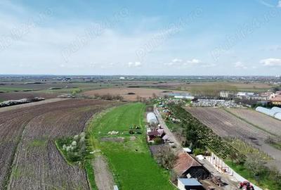 Teren în Amați - 11