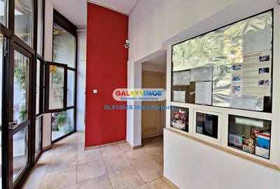 Apartament deosebit, amplasare excelenta, Banu Manta - Mihalache - 22
